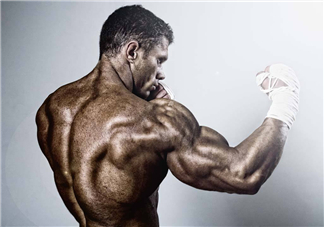 蛋白粉和增肌粉有什么區(qū)別？蛋白粉和增肌粉能一起吃嗎？