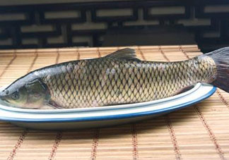 黑魚可以清蒸嗎？黑魚蒸多久？