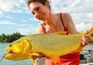 9月份釣什么魚？9月份釣草魚嗎？