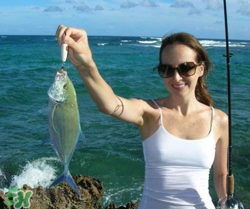 9月份釣什么魚？9月份釣草魚嗎？