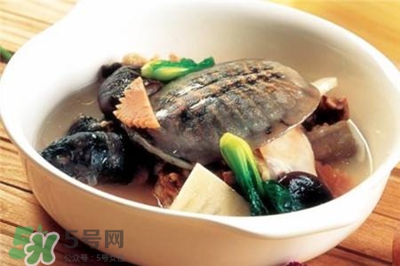 產(chǎn)婦能吃甲魚嗎？產(chǎn)婦能吃甲魚湯嗎？