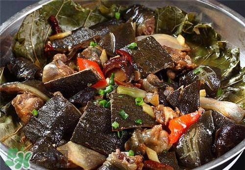 甲魚湯下奶嗎？下奶的食物有哪些？