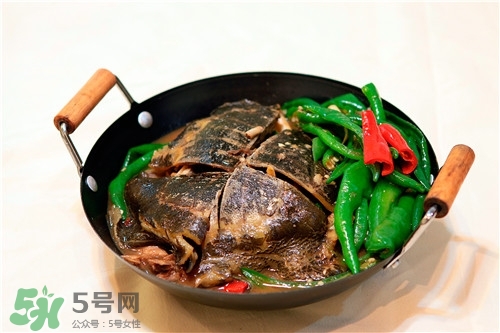 甲魚湯是涼性的嗎？甲魚湯的禁忌人群