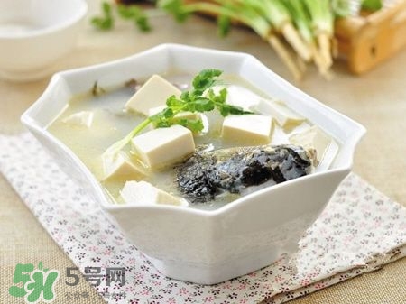 孕婦鯽魚湯可以放姜嗎？孕婦鯽魚湯能放料酒嗎？