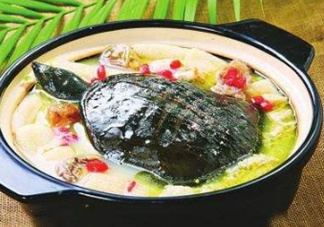 甲魚(yú)湯下奶嗎？下奶的食物有哪些？