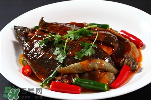 甲魚湯是涼性的嗎？甲魚湯的禁忌人群