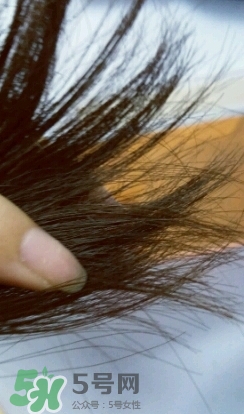 護(hù)發(fā)精油怎么用？護(hù)發(fā)精油使用方法