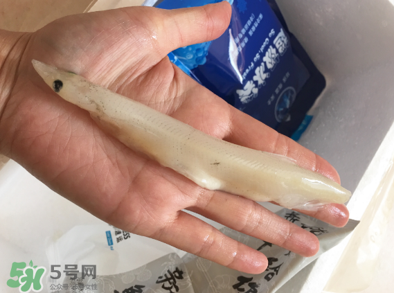 大銀魚(yú)多少錢(qián)一斤？大銀魚(yú)怎么洗？