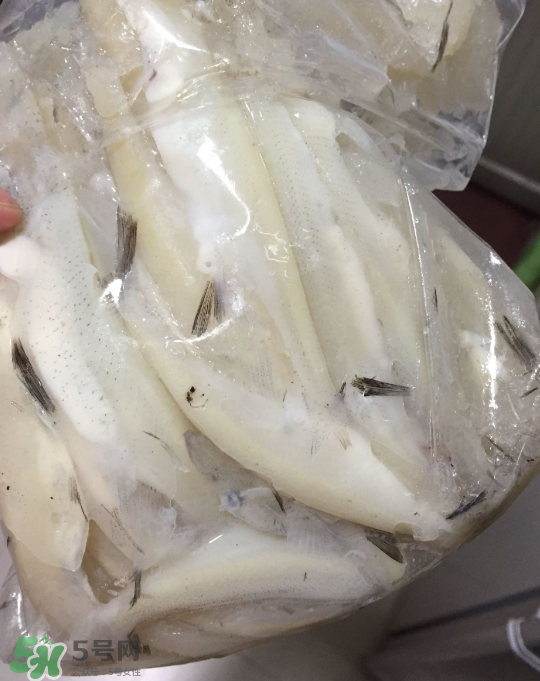 銀魚可以煲粥嗎？銀魚可以包餃子嗎？