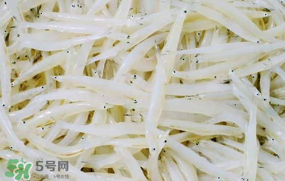 銀魚可以煲粥嗎？銀魚可以包餃子嗎？