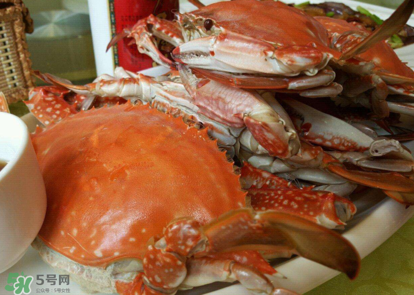 梭子蟹是海里的嗎？梭子蟹是螃蟹嗎？