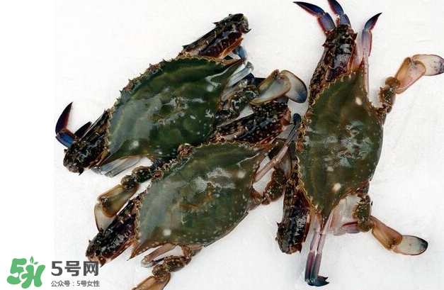 梭子蟹有寄生蟲嗎？梭子蟹有寄生蟲能吃嗎？
