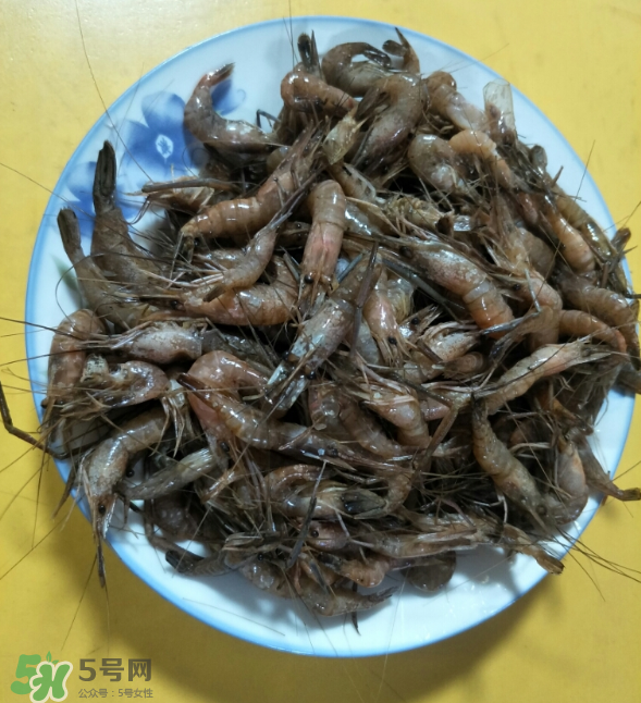 河蝦是發(fā)物嗎？河蝦是不是發(fā)物？