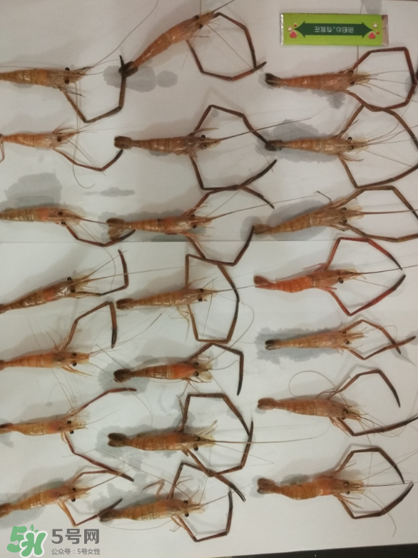 河蝦是海鮮嗎？河蝦屬于海鮮嗎？