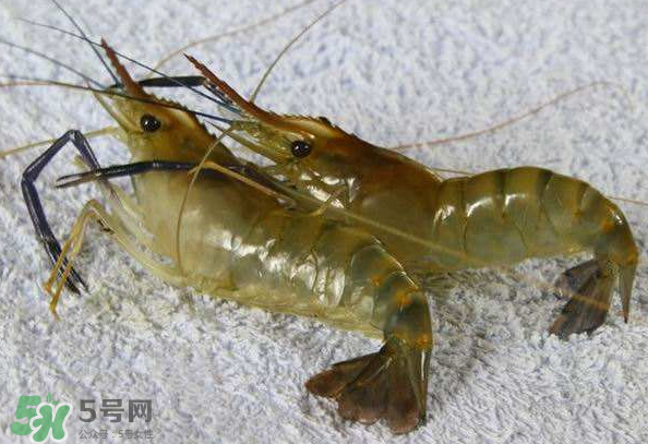 河蝦是酸性還是堿性？河蝦是涼性還是熱性？