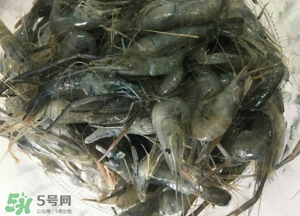 河蝦是基圍蝦嗎？河蝦是辛辣食物嗎？
