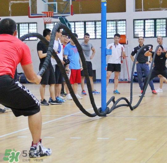 戰(zhàn)繩是有氧運動嗎？戰(zhàn)繩是有氧還是無氧？
