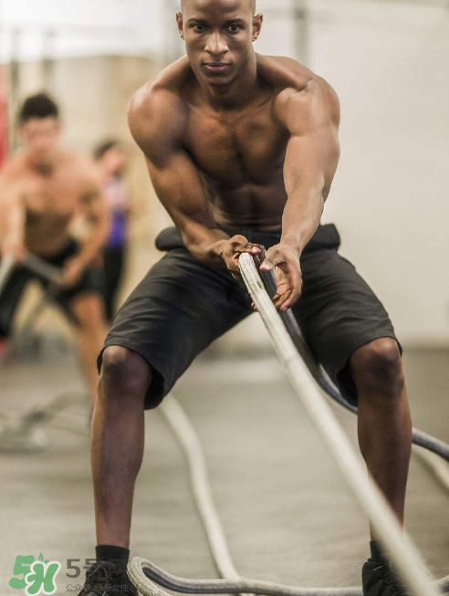 戰(zhàn)繩是有氧運動嗎？戰(zhàn)繩是有氧還是無氧？