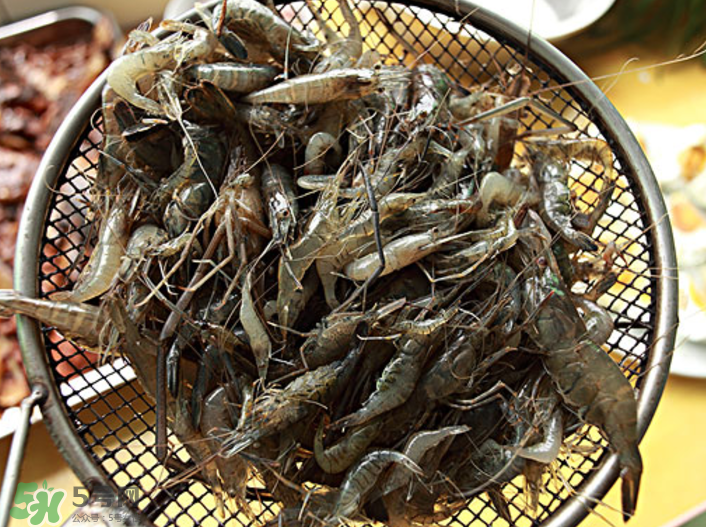 河蝦可以吃頭嗎？蝦頭到底能不能吃？