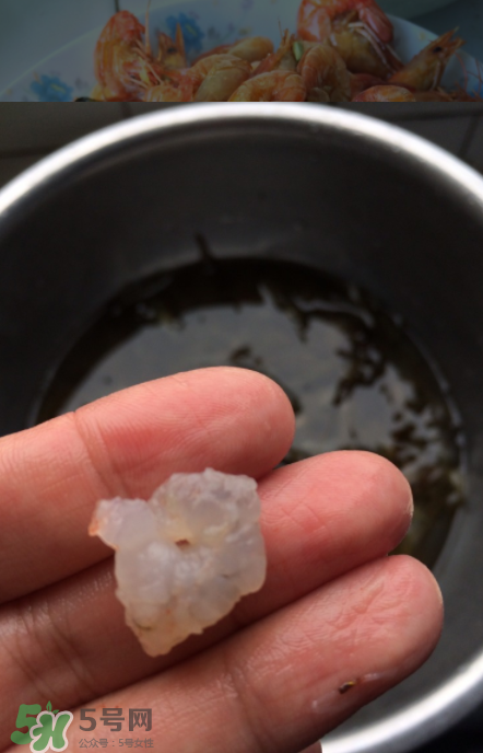 河蝦可以放冰箱嗎？河蝦在冰箱能放幾天？