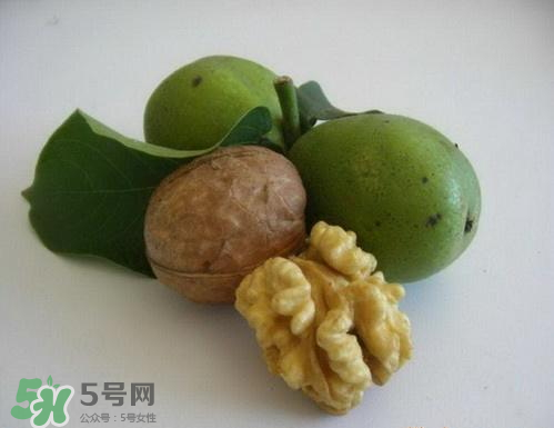 鮮核桃和干核桃哪個更有營養(yǎng)？鮮核桃和干核桃哪個營養(yǎng)價值高？