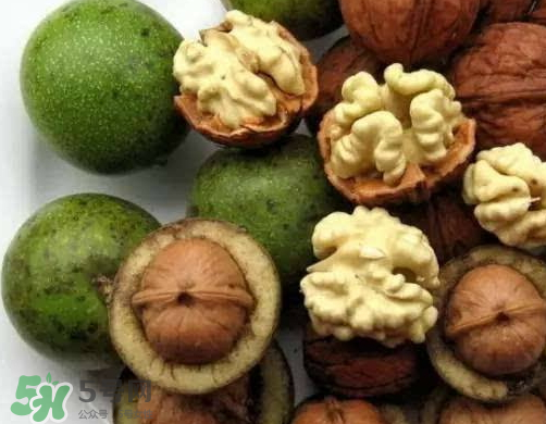 鮮核桃和干核桃哪個更有營養(yǎng)？鮮核桃和干核桃哪個營養(yǎng)價值高？