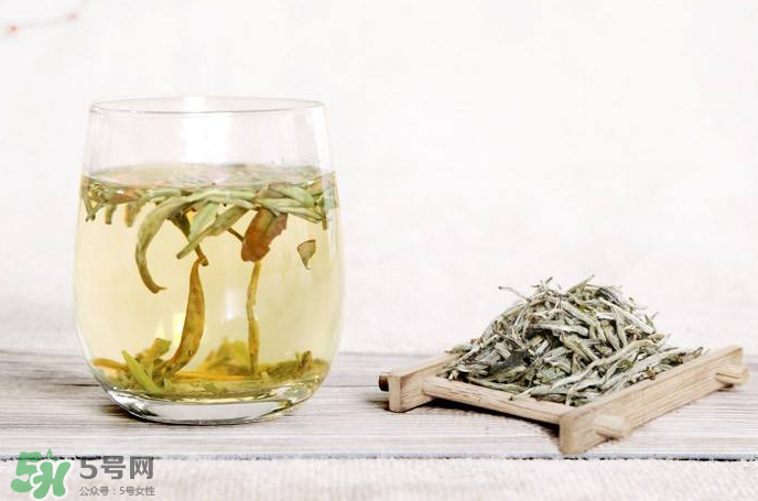 白毫銀針屬于綠茶嗎？白毫銀針是什么茶？