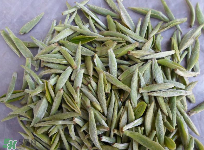 白毫銀針屬于綠茶嗎？白毫銀針是什么茶？