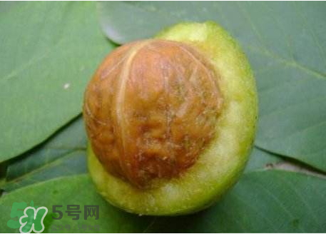 濕核桃可以放冰箱嗎？濕核桃放冰箱能放多久？