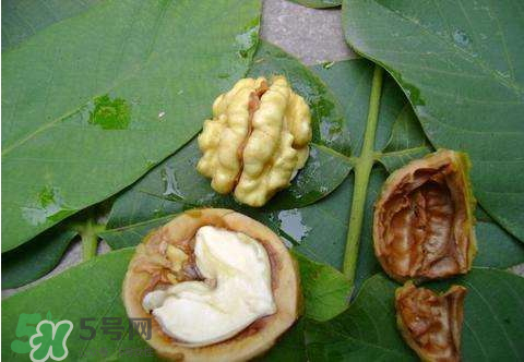 濕核桃可以放冰箱嗎？濕核桃放冰箱能放多久？