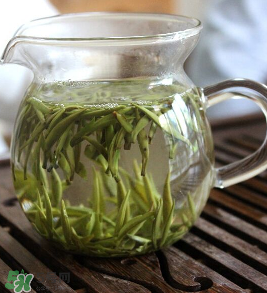 白毫銀針怎么保存？白毫銀針要放冰箱嗎？