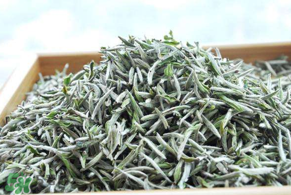 白毫銀針的產(chǎn)地在哪個??？白毫銀針是哪里產(chǎn)的？