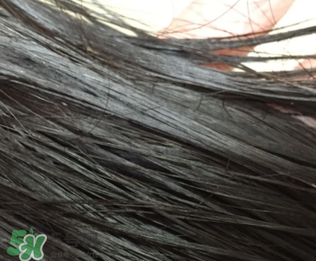 護發(fā)精油能不能抹頭皮？護發(fā)精油的危害