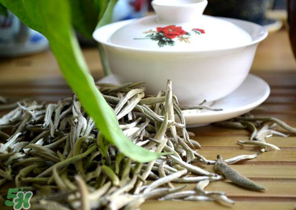 白茶需要洗茶嗎？白茶是洗還是不洗？