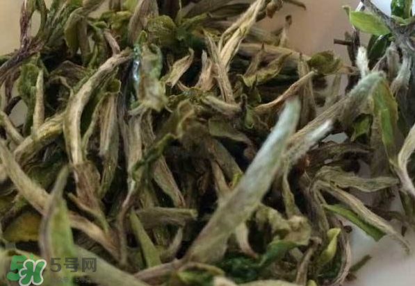白茶需要洗茶嗎？白茶是洗還是不洗？