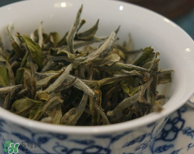 白茶需要洗茶嗎？白茶是洗還是不洗？