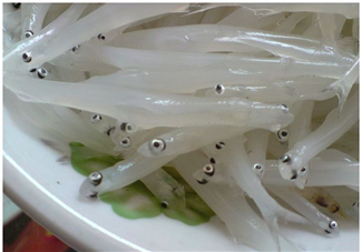 銀魚怎么保存？銀魚可以放在冰箱冷凍保存嗎？