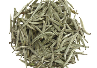 白毫銀針沖泡方法 白毫銀針口感好嗎？