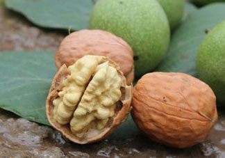 鮮核桃和干核桃哪個更有營養(yǎng)？鮮核桃和干核桃哪個營養(yǎng)價值高？