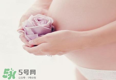 青刺果油能去妊娠紋嗎？青刺果油的功效與作用