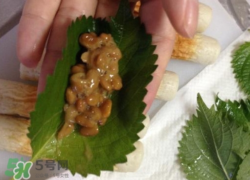 納豆是豆鼓嗎？納豆和豆豉的區(qū)別