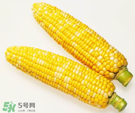 九月份能種玉米嗎？玉米九月份還可以種嗎？