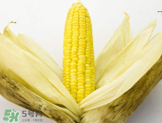 九月份能種玉米嗎？玉米九月份還可以種嗎？