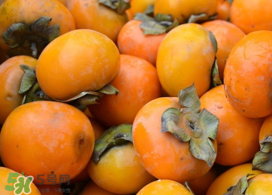 懶柿子幾月熟？哪種柿子適合做懶柿子？