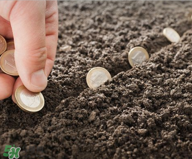 指甲上沒(méi)有月牙是怎么回事？指甲上沒(méi)有月牙是不是不健康？