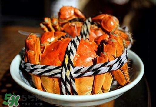 啤酒蒸大閘蟹怎么做？啤酒蒸大閘蟹做法步驟