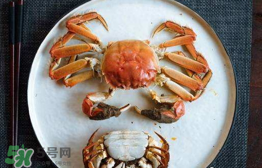 啤酒蒸大閘蟹好吃嗎？啤酒蒸大閘蟹怎么吃？