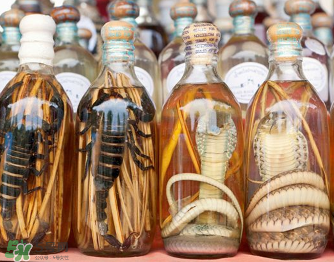 毒蛇泡酒有毒嗎？毒蛇泡酒能喝嗎？