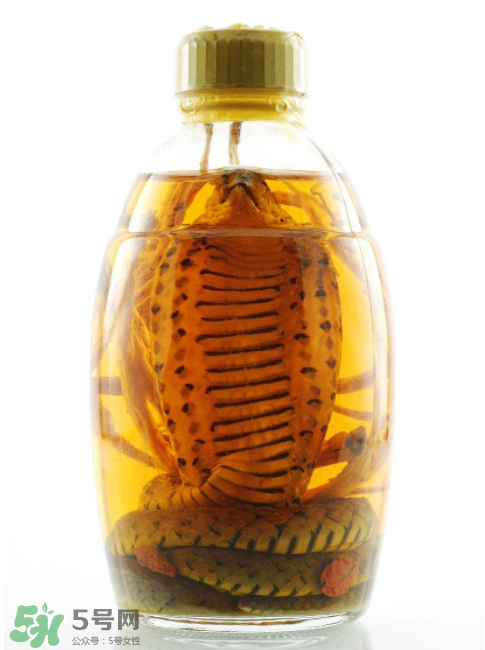 毒蛇泡酒有毒嗎？毒蛇泡酒能喝嗎？