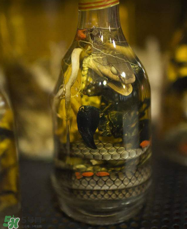 毒蛇泡酒有毒嗎？毒蛇泡酒能喝嗎？